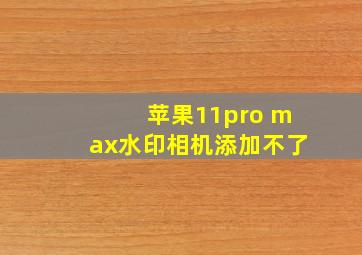 苹果11pro max水印相机添加不了